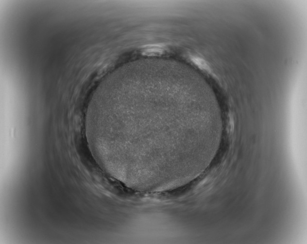 X0000086031445200704091123