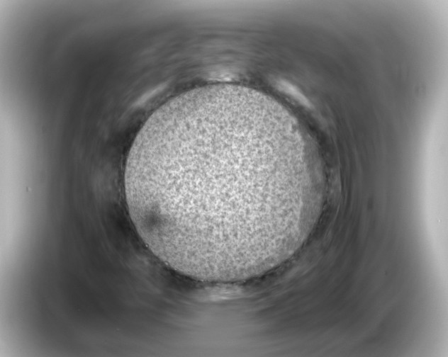 X0000086031446200704091123