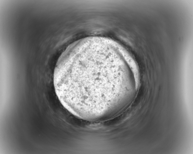 X0000086031447200704091123