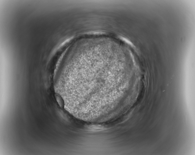 X0000086031448200704091123