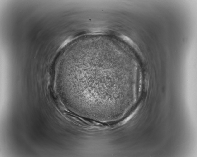 X0000086031449200704091123