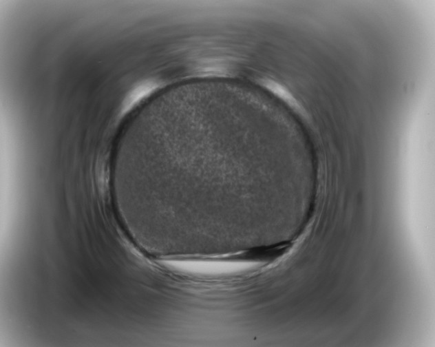 X0000086031450200704091123