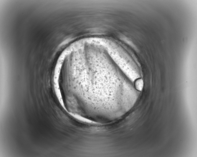 X0000086031451200704091123