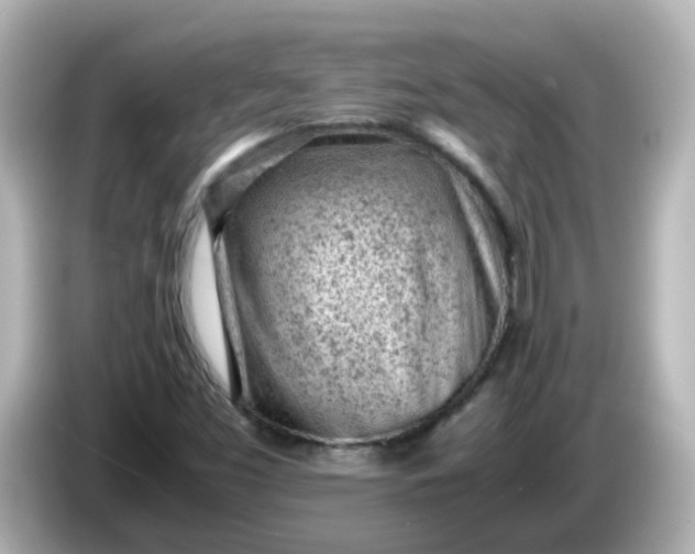 X0000086031453200704091123