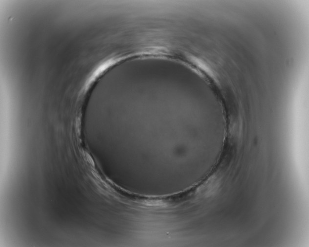 X0000086031455200704091123