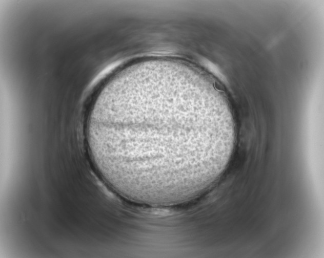 X0000086031456200704091123