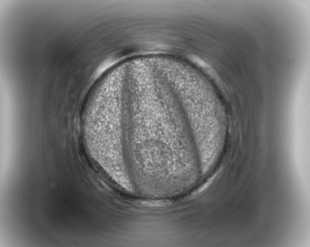 X0000086031457200704091123