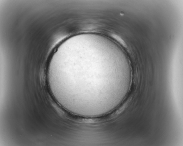 X0000086031458200704091123