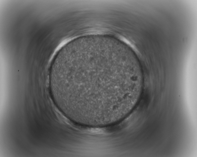 X0000086031459200704091123