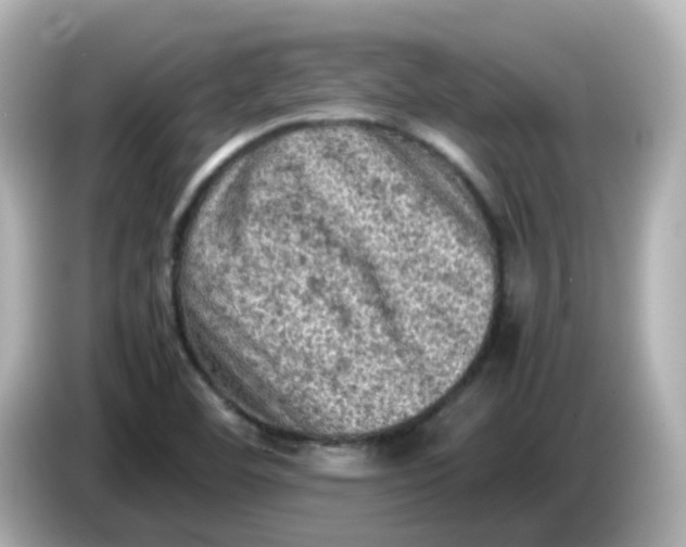 X0000086031460200704091123