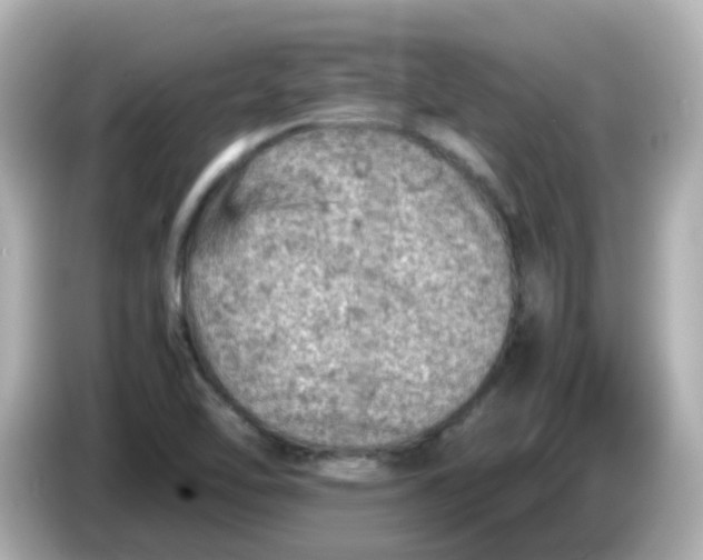 X0000086031462200704091123