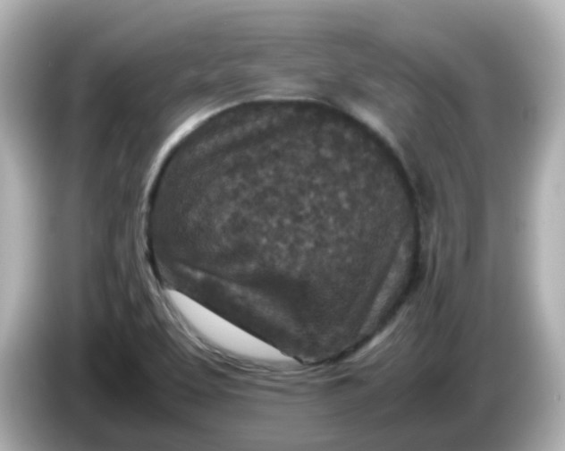 X0000086031463200704091123