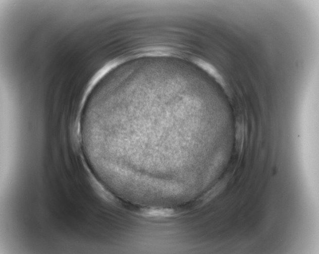 X0000086031466200704091123