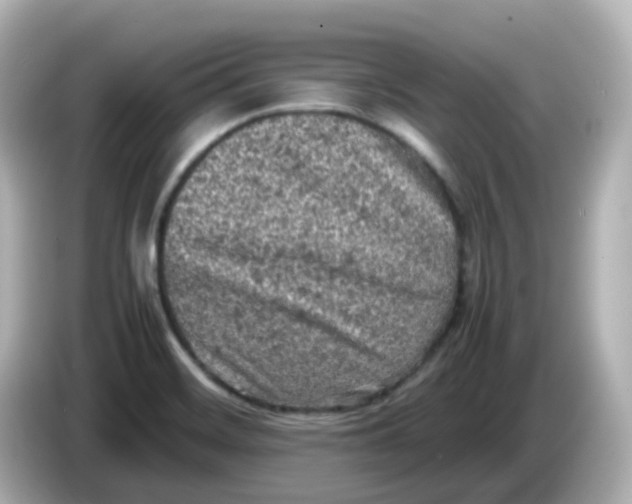 X0000086031468200704091123