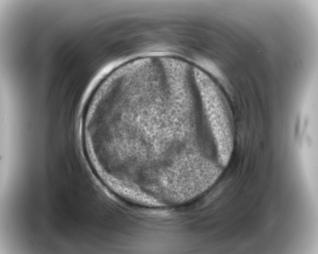 X0000086031472200704091123