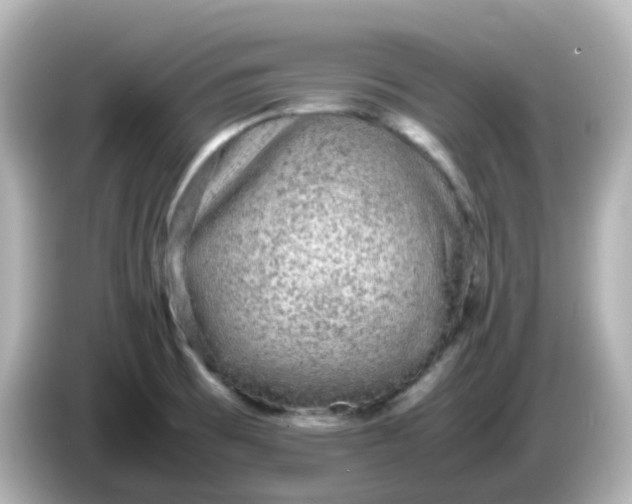 X0000086031473200704091123