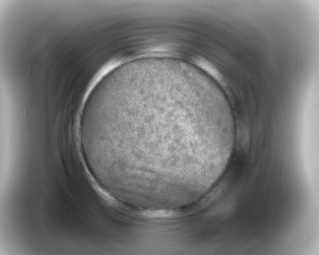 X0000086031474200704091123