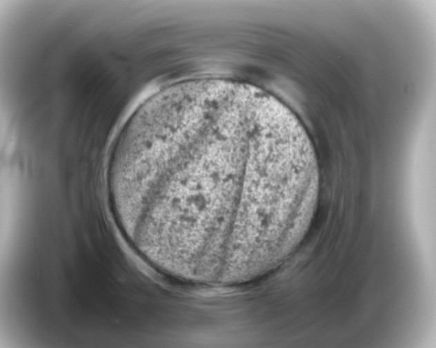 X0000086031475200704091123