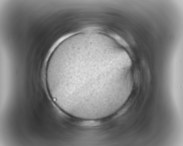 X0000086031478200704091123