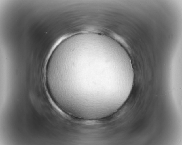 X0000086031479200704091123