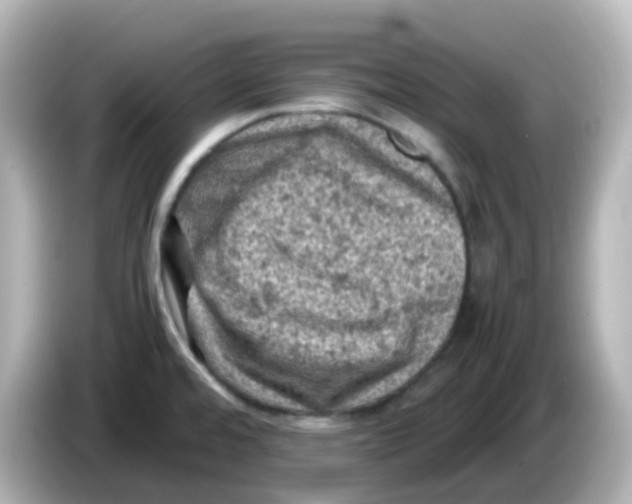 X0000086031480200704091123