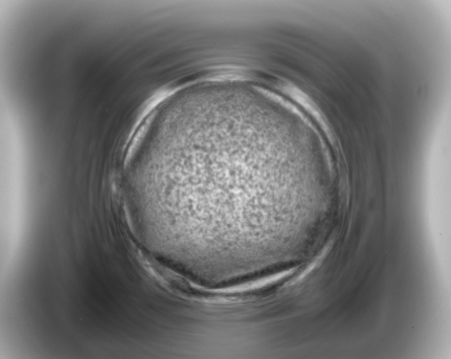 X0000086031481200704091123