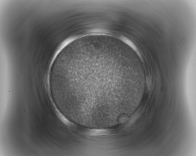 X0000086031482200704091123