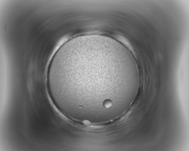 X0000086031483200704091123