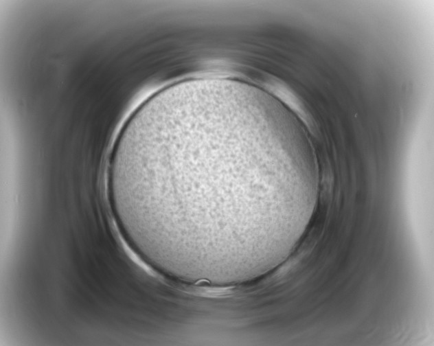 X0000086031484200704091123