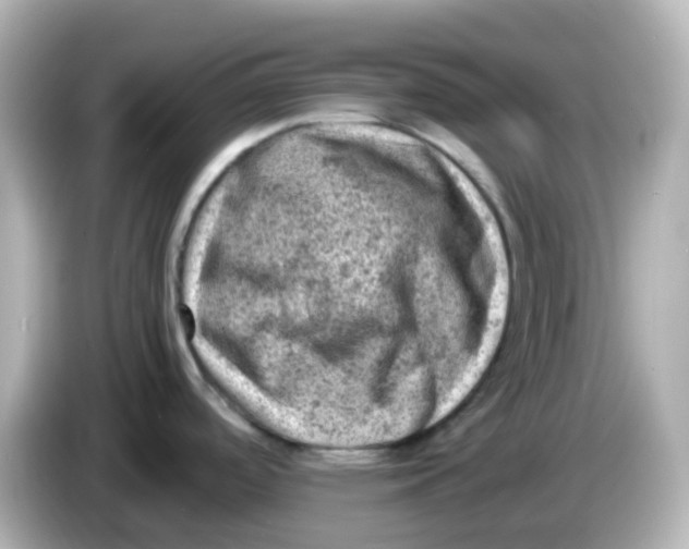 X0000086031488200704091123