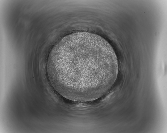 X0000086031489200704091122