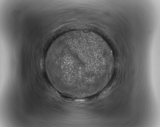 X0000086031490200704091122