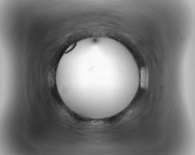 X0000086031491200704091122