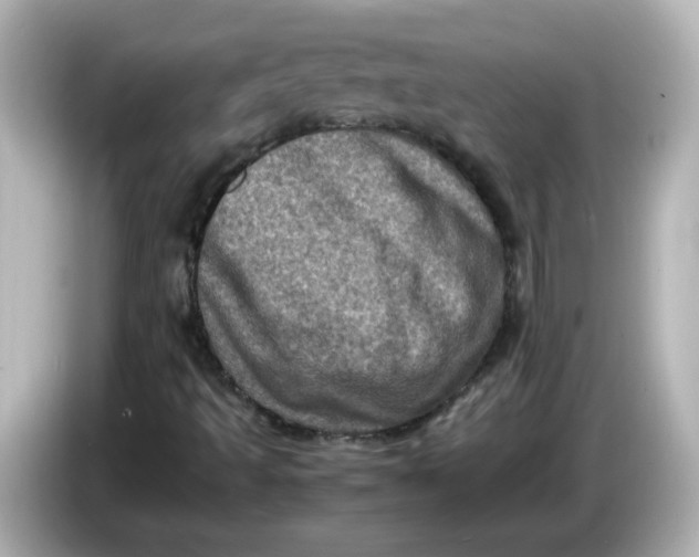 X0000086031493200704091122