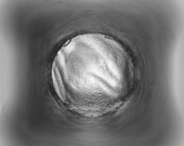 X0000086031494200704091122