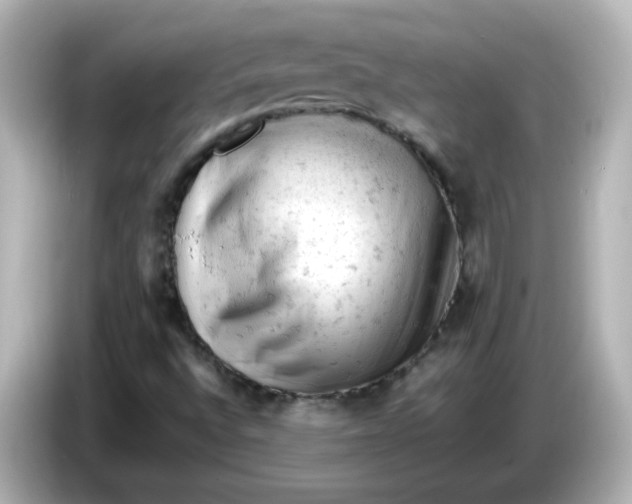 X0000086031496200704091122