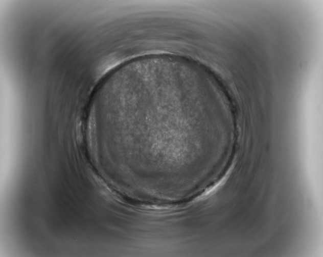 X0000086031497200704091122