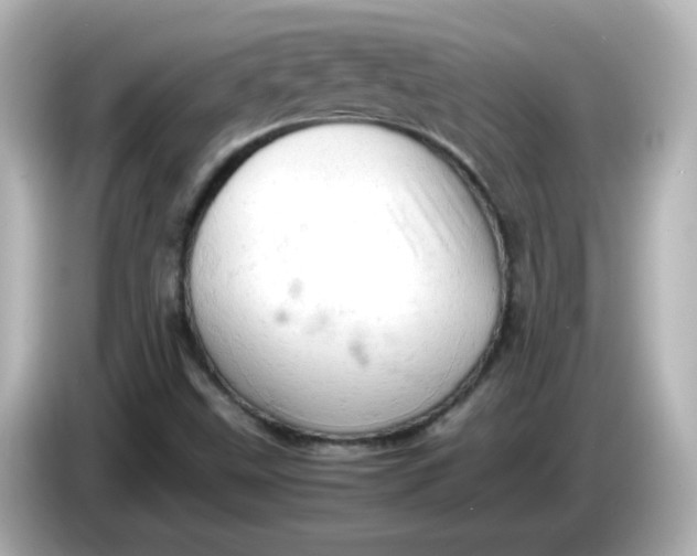 X0000086031499200704091122