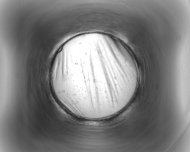 X0000086031500200704091122