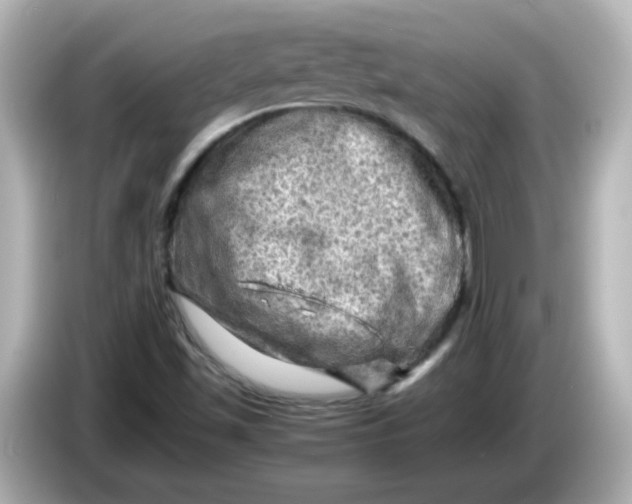 X0000086031501200704091122