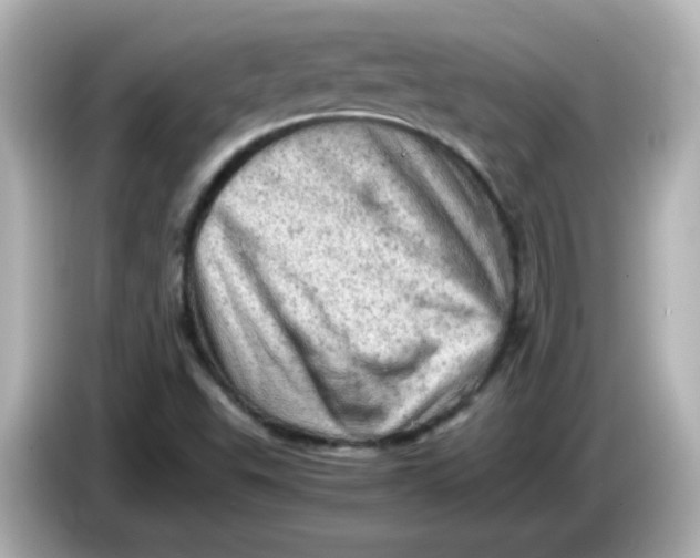 X0000086031503200704091122