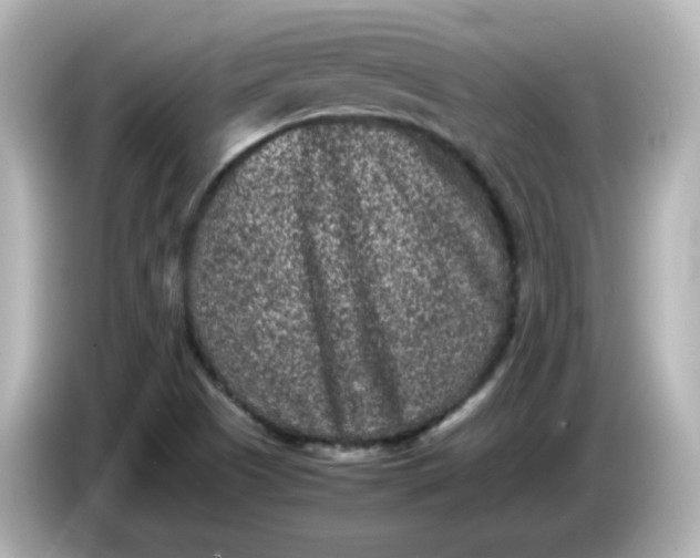 X0000086031505200704091122