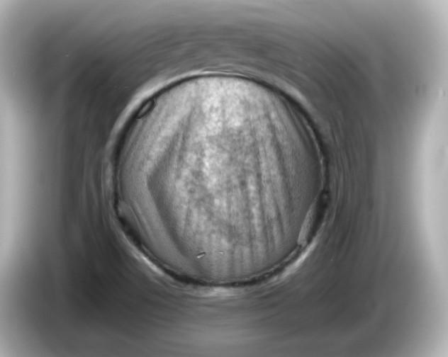 X0000086031506200704091122