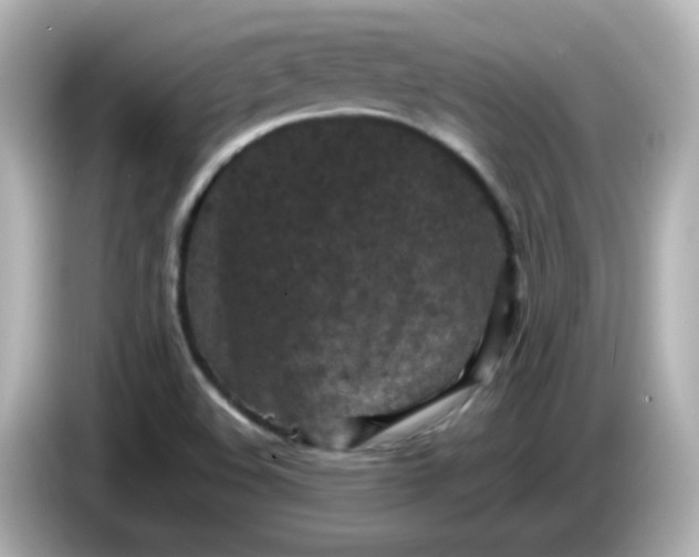 X0000086031508200704091122