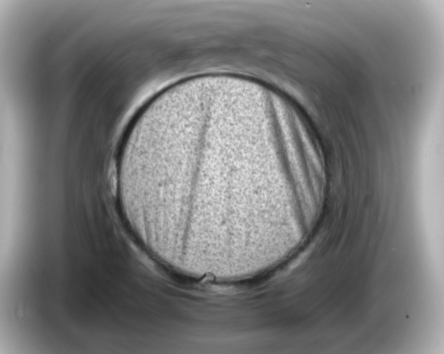 X0000086031509200704091123