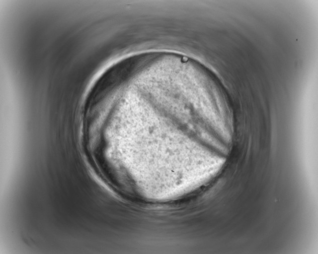 X0000086031511200704091123