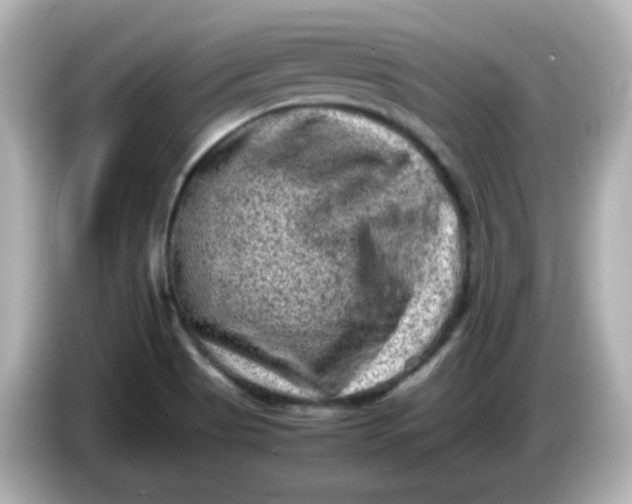 X0000086031513200704091123