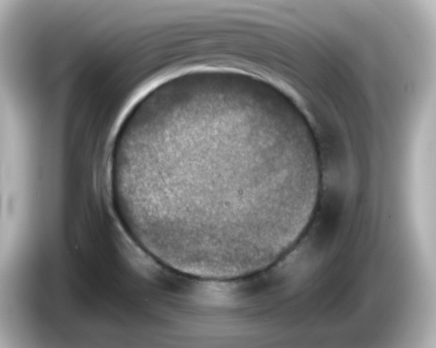 X0000086031514200704091123