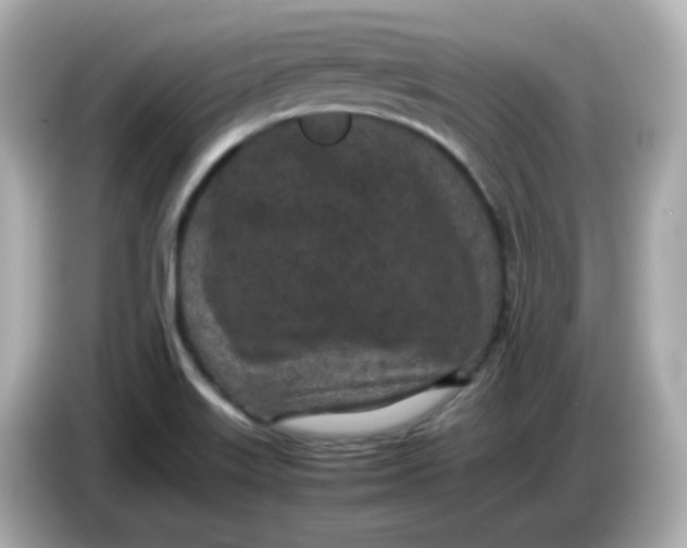 X0000086031515200704091123