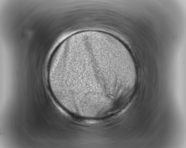 X0000086031517200704091123